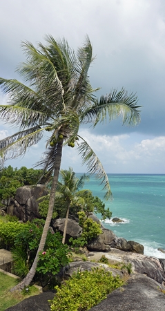 tropical silver beach oh koh samui in thailand