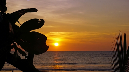 sunset at the beach of khao lak in thailandの写真素材