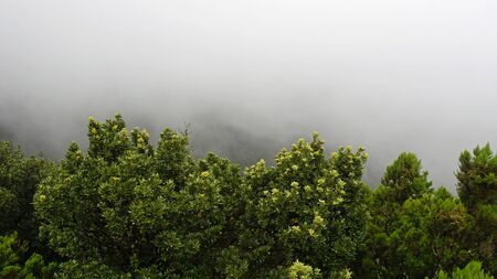 cloudy and foggy landscape in anaga mountains on tenerifeの写真素材