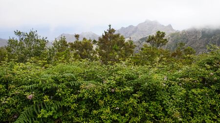 cloudy and foggy landscape in anaga mountains on tenerifeの写真素材