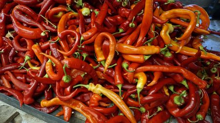 fresh chilies and peppers from the market of skopje