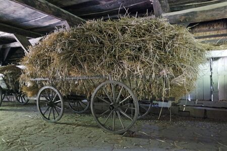 agriculture in the luneneburg heath in northern germanyの写真素材