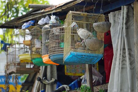 local live in the suburb of ho chi minh city in vietnamの写真素材