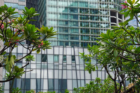 huge new office buildings in singapores city centerのeditorial素材