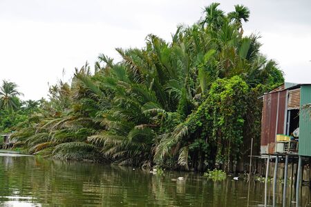 river shore life in can tho in southern vietnamの写真素材