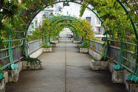 green bridge in ho chi minh cityの写真素材