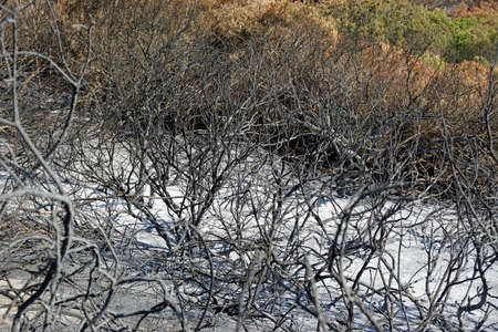 landscape on rhodes islandの写真素材