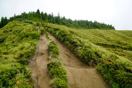 muddy path on cidade lakes on the azores island sao miguelの写真素材