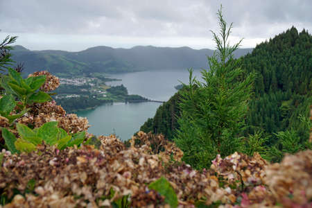 amazing nature on the azores islands
