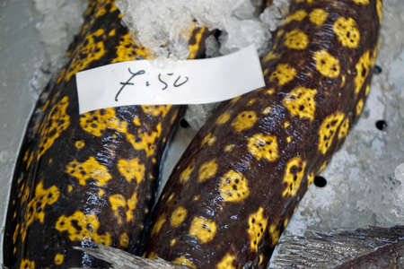 fish market on the azores islands