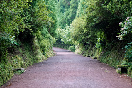 hiking trail at cidade lakes at the azores islandsの写真素材