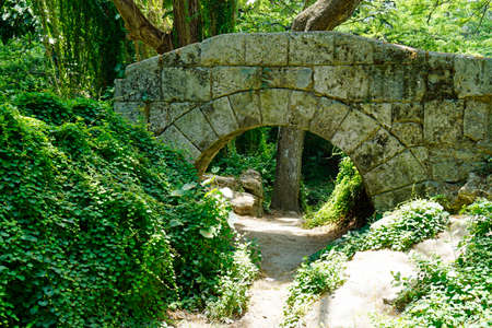 huge green forestal park in havana