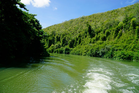 tropical landscape at river chavon in the dominican republicの写真素材
