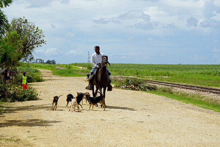 La Romana, Dominican Republic, circa September 2022 - Haitian man on a horse in a sugar cane workers settlementのeditorial素材