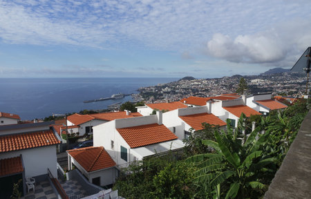 scenic view over the coast of madeira islandの写真素材
