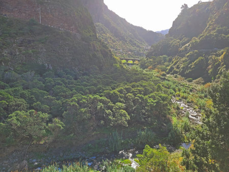 fog in the green mountains on madeira island