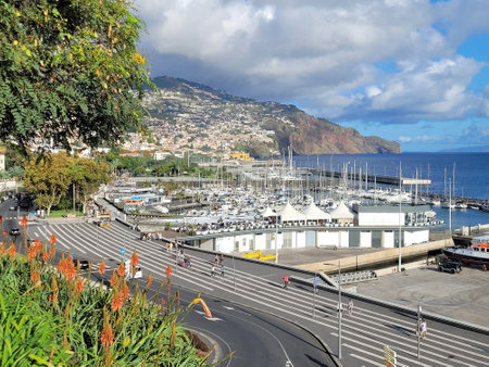 amazing madeira island in autumnの写真素材