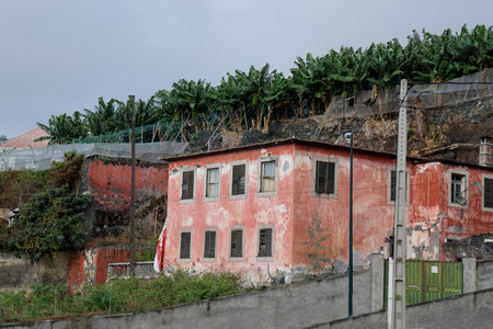 run down houses in funchal on madeira islandの写真素材