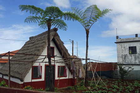 Santana, Madeira Portugal, circa october 2022: traditional triangular farmer housesの写真素材