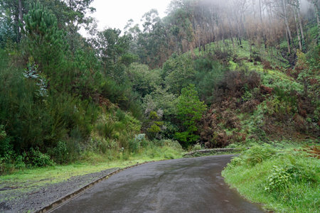 street scene on the island of madeira
