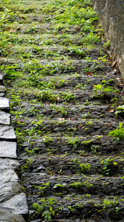 moss overgrown stone stairway at monte on madeiraの写真素材