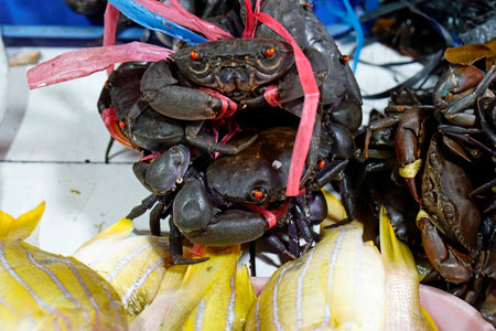 Seafood from a local food market in Cebu cityの写真素材