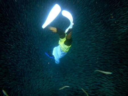 Swarm of sardines in the pacific ocean near moalboal on cebu island