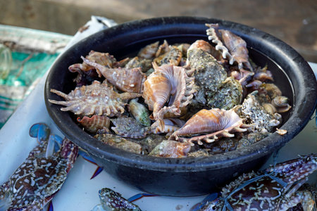 fresh fish from a fisherman village on the philippine islands