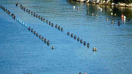 fish farms in krka river near sibenik in croatiaの写真素材