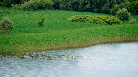 scenic green landscape in krka in croatiaの写真素材