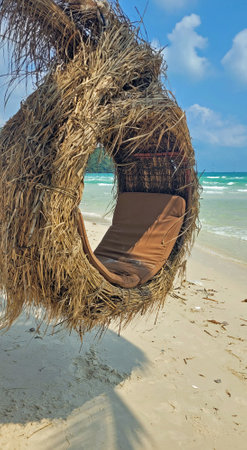 beach swing at sao beach on phu quocの写真素材