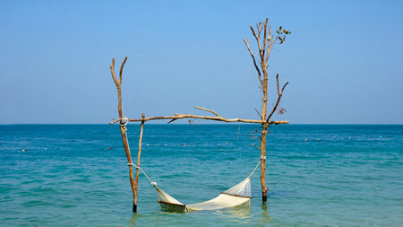 beach hammock at starfish beach on phu quoc islandの写真素材