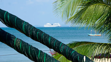palm trees at the ocean on nphu quoc islandの写真素材