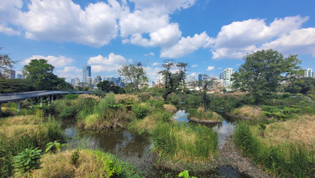 bangkok skyline with skyscpers from lumpini oarkの写真素材