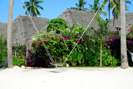 traditional building on the coast of zanzibar islandの写真素材