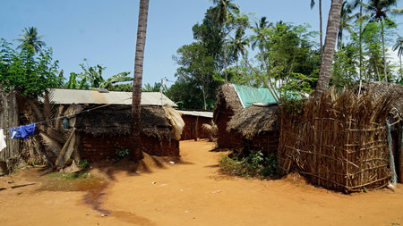 Kinyasini Village - a countryside village on Zanzibar Islandの写真素材