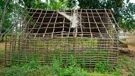 Kinyasini Village - a countryside village on Zanzibar Islandの写真素材