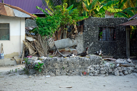 locals village in jambiani on zanzibar islandの写真素材