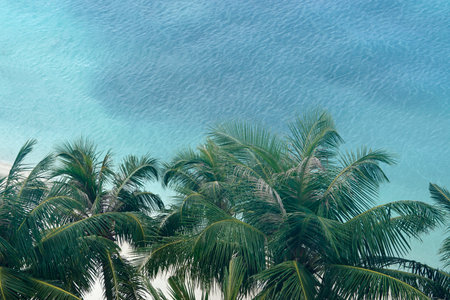 aerial view of a sunny tropical beach paradiseの写真素材