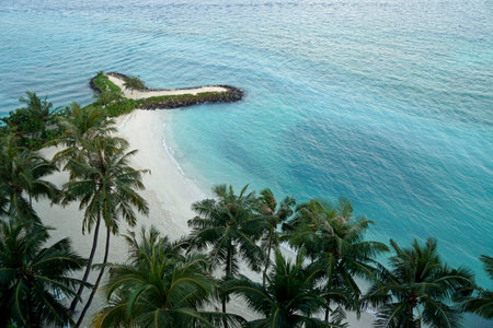 aerial view of a sunny tropical beach paradiseの写真素材