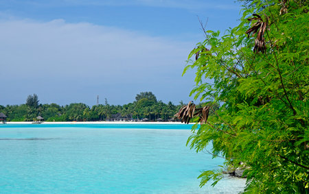tropical exotic island paradise