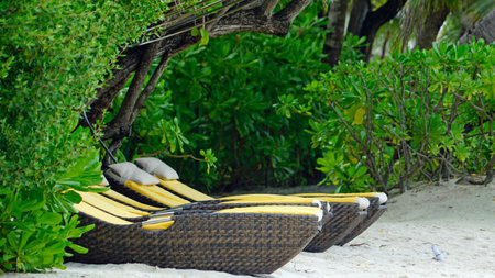 exotic tropical paradise island on the maldives