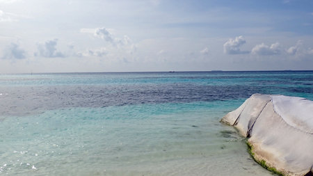 tropical exotic island paradise on the maldivesの写真素材