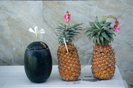 fresh fruits at a local farmers marketの写真素材