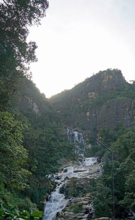 Scenic green landscape in the mountains at Ella in Sri Lankaの写真素材