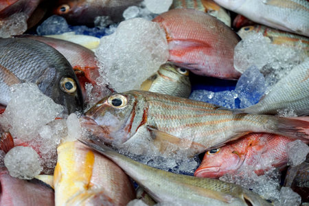 fresh seafood at a local market on Sri Lankaの写真素材