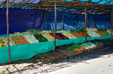 Candy, Sri Lanka - February 8, 2025: market stalls along the street in the highlandsの写真素材