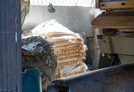 Leather production at the Dharavi slum in Mumbai in India