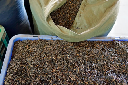 tea factory in Sri Lankaの写真素材