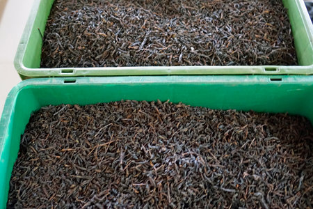 tea factory in Sri Lankaの写真素材